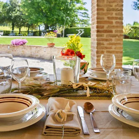 Delle Vigne Novilara