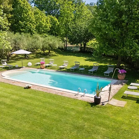 Delle Vigne Novilara