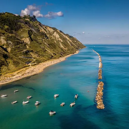 Delle Vigne