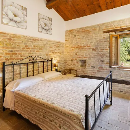 Delle Vigne Novilara